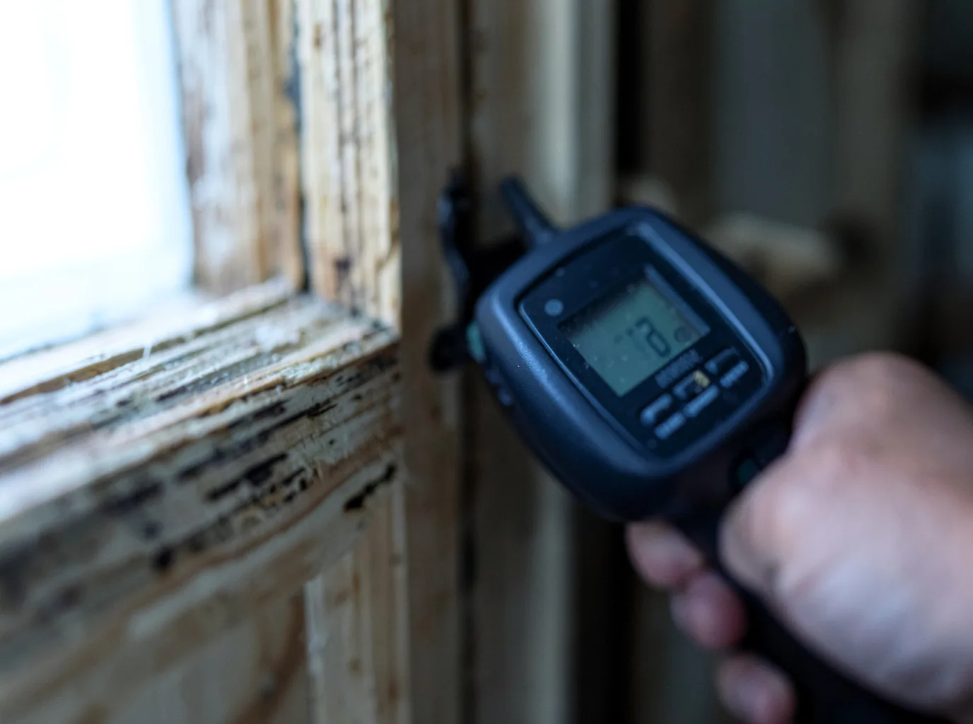 Moisture Inspection And Documentation in Manchester, MI